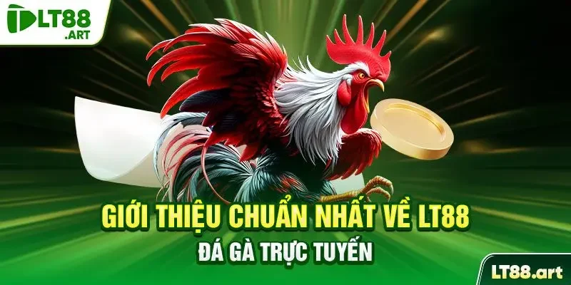 Giới thiệu chuẩn nhất về LT88 đá gà trực tuyến