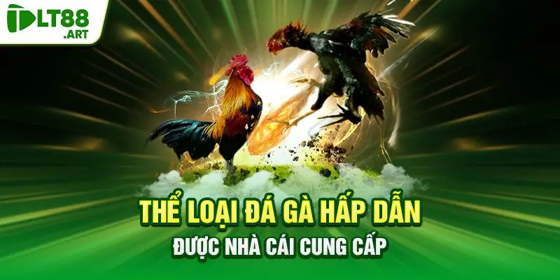 Thể loại đá gà hấp dẫn được nhà cái cung cấp