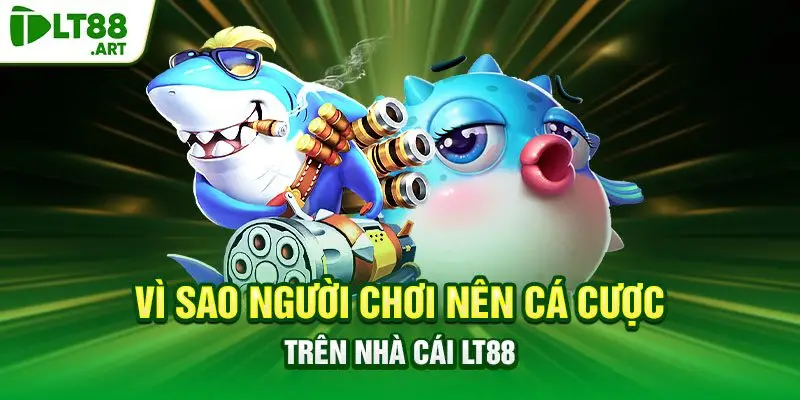 Vì sao người chơi nên cá cược trên nhà cái LT88